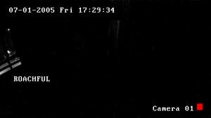 Caméra IP - IR