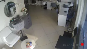 Caméra IP - RU