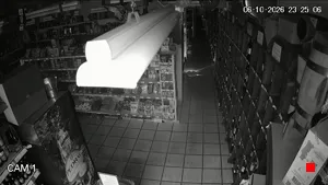 Caméra IP - DE