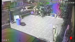 Caméra IP - PA