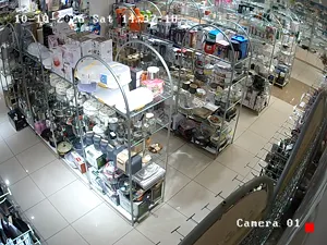 Caméra IP - RU