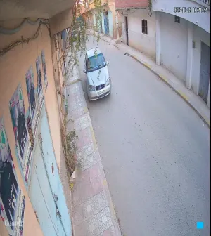 Caméra IP - DZ