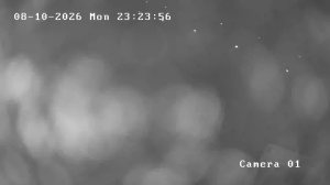 Caméra IP - BM