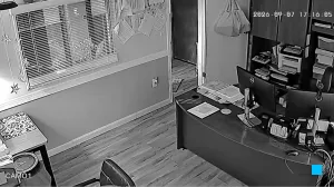 Caméra IP - US