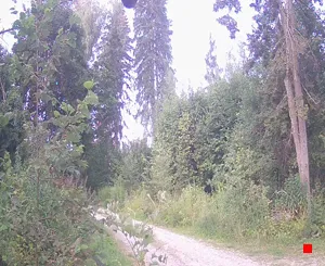Caméra IP - RU