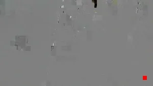 Caméra IP - IN