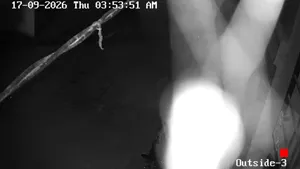 Caméra IP - IN