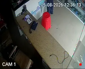 Caméra IP - IN