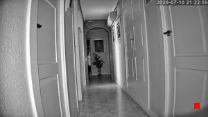 Caméra IP - ES