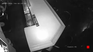 Caméra IP - US
