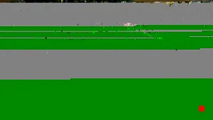 Caméra IP - US