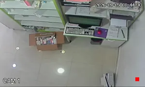 Caméra IP - DZ