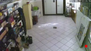 Caméra IP - IT