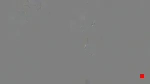 Caméra IP - TH