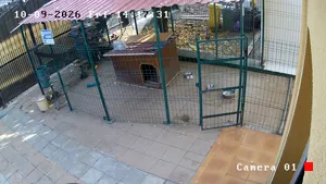 Caméra IP - RO