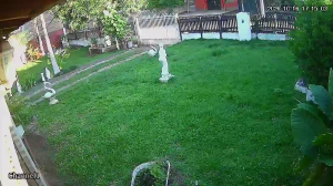 Caméra IP - PY