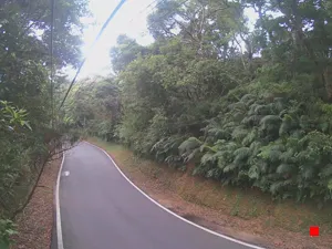 Caméra IP - TW