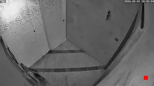 Caméra IP - IR