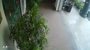 Caméra IP - CN