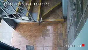 Caméra IP - PE