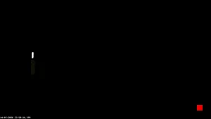 Caméra IP - IT