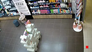 Caméra IP - RU