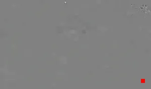 Caméra IP - US
