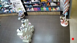 Caméra IP - RU