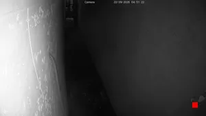 Caméra IP - GE