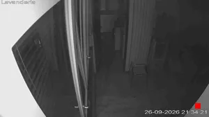 Caméra IP - IT