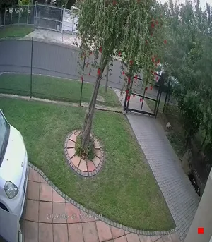 Caméra IP - ZA