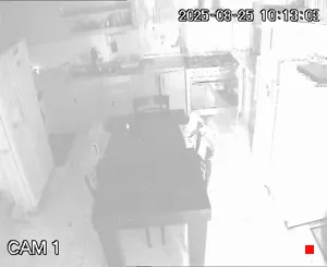Caméra IP - IR