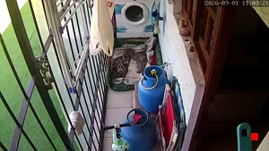 Caméra IP - UY