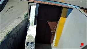 Caméra IP - AL