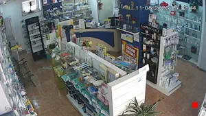 Caméra IP - IT