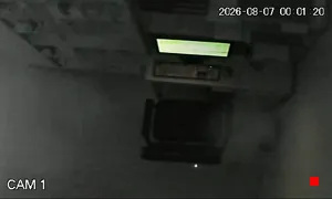 Caméra IP - DZ