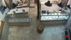 Caméra IP - ES