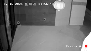 Caméra IP - CN