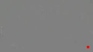 Caméra IP - TH