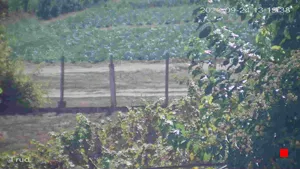 Caméra IP - BG
