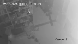 Caméra IP - CN