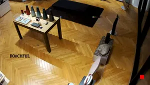 Caméra IP - BG