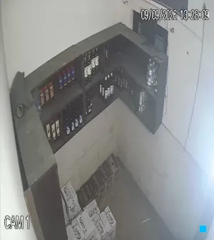 Caméra IP - IN