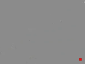Caméra IP - AU