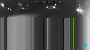 Caméra IP - Vue en direct