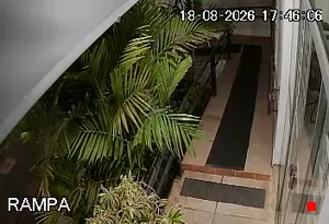 Caméra IP - BR
