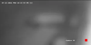 Caméra IP - US