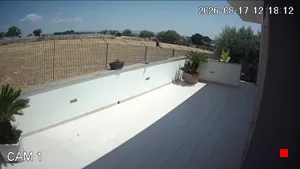Caméra IP - IT