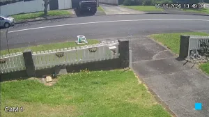 Caméra IP - NZ