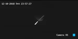 Caméra IP - Vue en direct